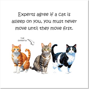 Experts agree if a cat is asleep on you, you must never move until they move first - funny watercolour cat design Posters and Art